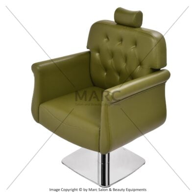 Bliss Multipurpose Barber Chair Image