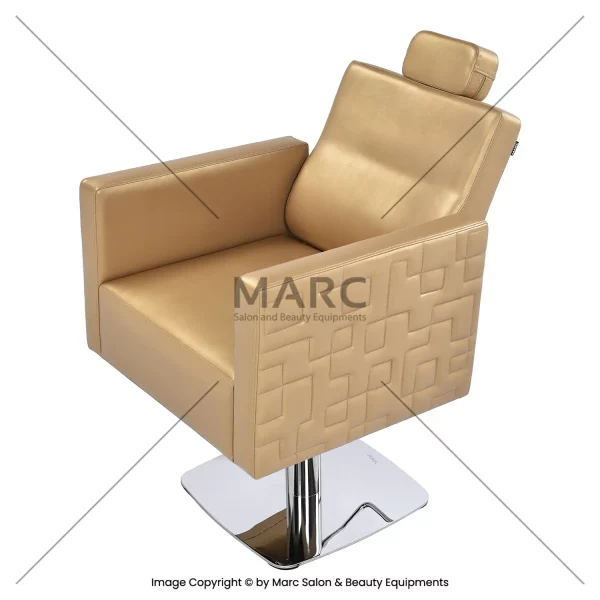 Classic Multipurpose Barber Chair Image