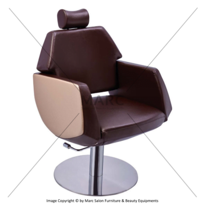 Elegant Multipurpose Barber Chair Image