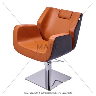 Eva Multipurpose Barber Chair Image