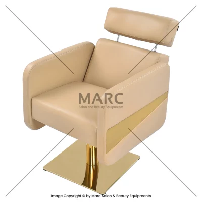 Kite Gold Multipurpose Barber Chair Image